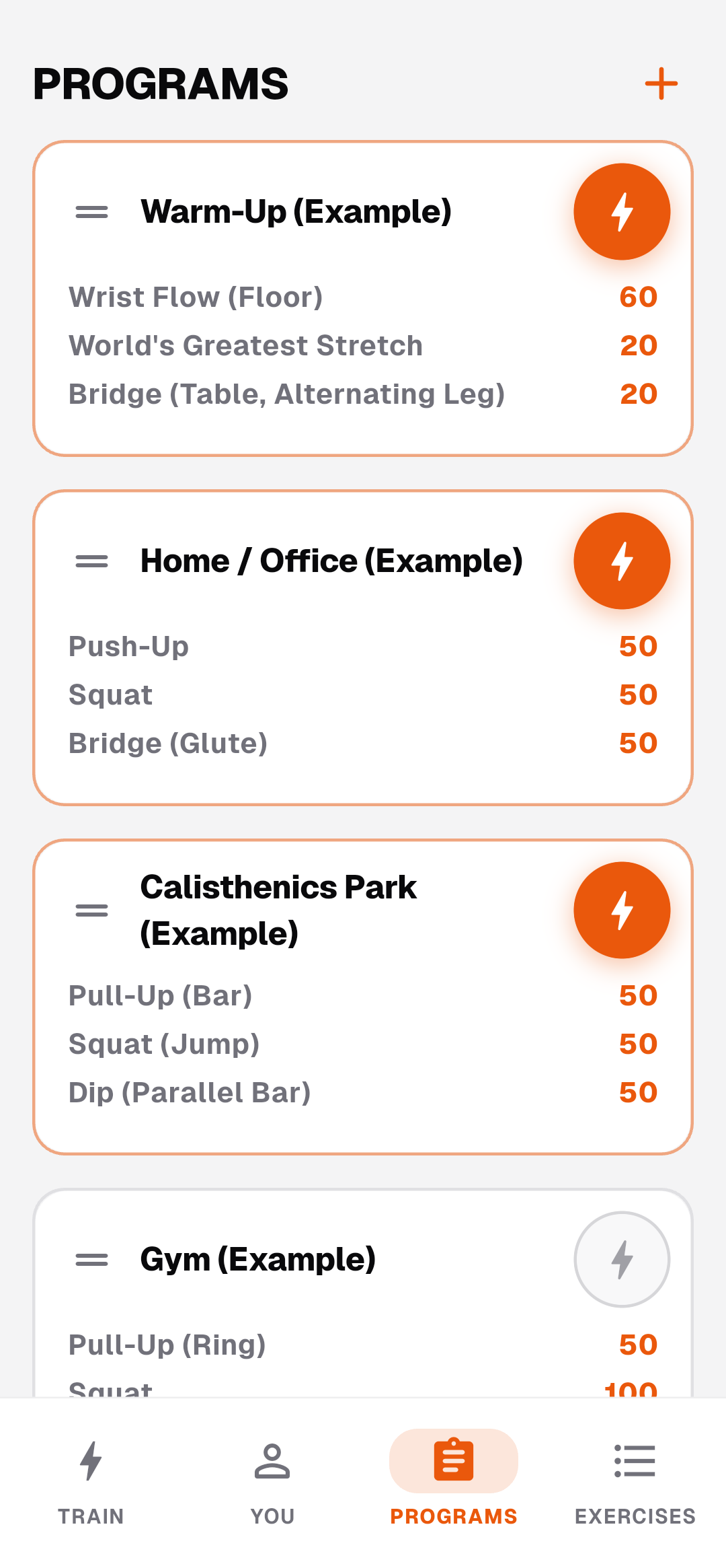 Custom Programs — Built for Home, Office, Gym & Calisthenics Park (Light Mode)